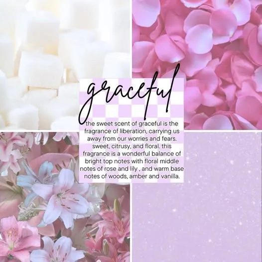 Graceful Touch and Go Hand Sanitizer Mist